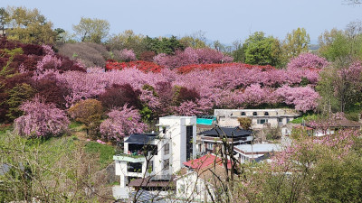 전주 완산꽃동산