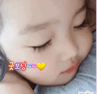 damoang-meme-023.gif